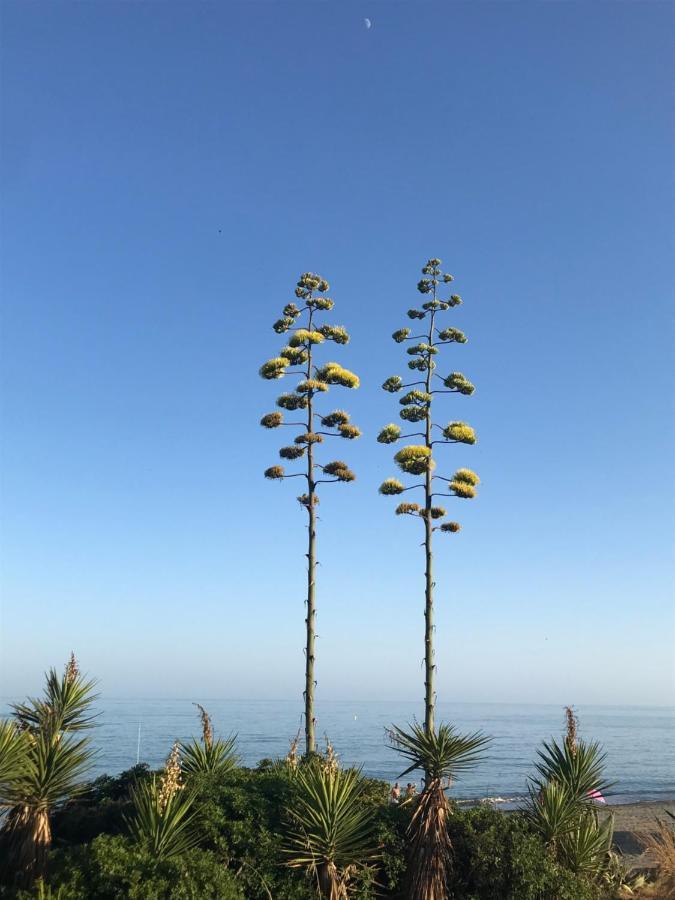 Marbella - Frontline Appartement Estepona